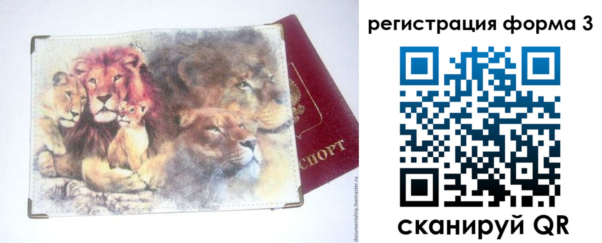 прописка в квартире в Заволжье